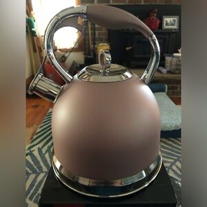 Stainless steel kettle